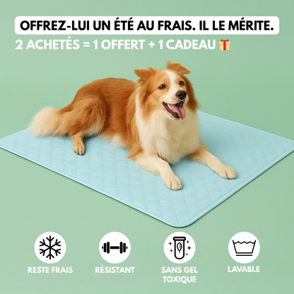 CoolPaw™ - Tapis rafraichissant pour chien