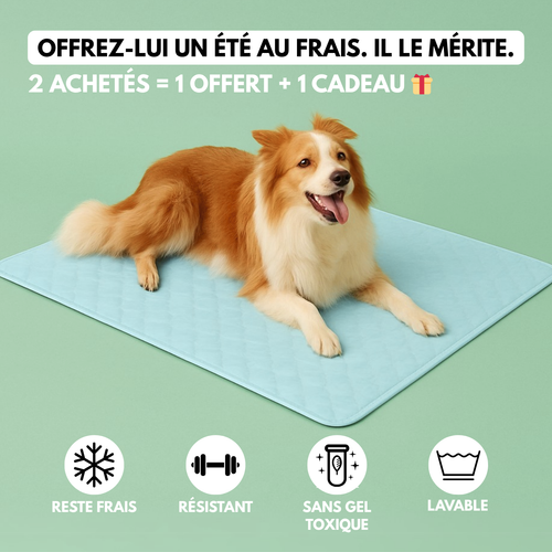 CoolPaw™ - Tapis rafraichissant pour chien