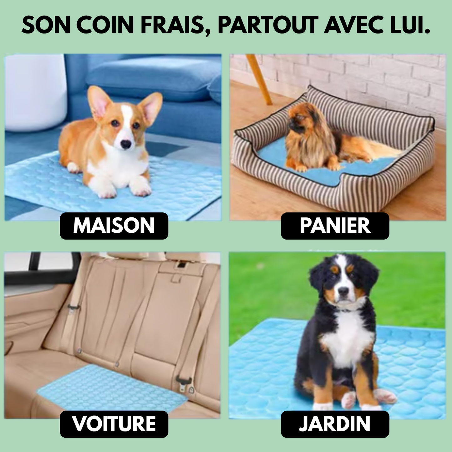 CoolPaw™ - Tapis rafraichissant pour chien