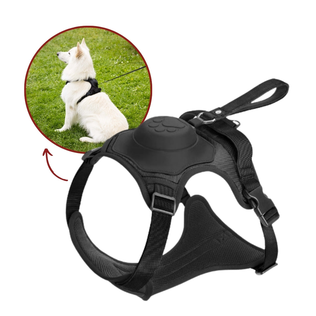 PupFreeWalk™ – Harnais 2-en-1 avec laisse intégrée