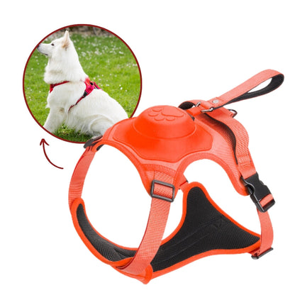 PupFreeWalk™ – Harnais 2-en-1 avec laisse intégrée