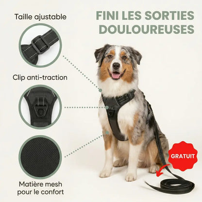 EasyLead™ – Harnais anti-traction confortable et sécurisé