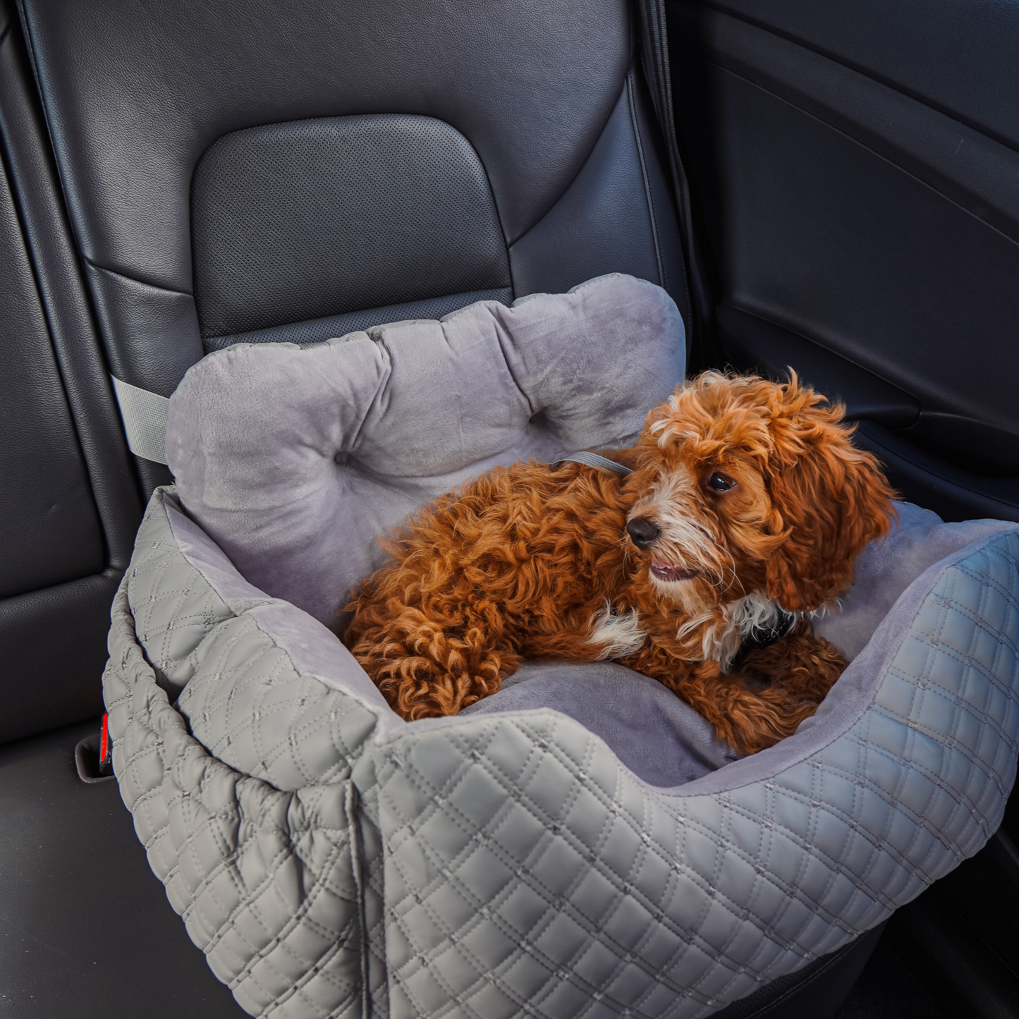 LuxeRide™ – Siège auto sécurisé et ultra-confortable