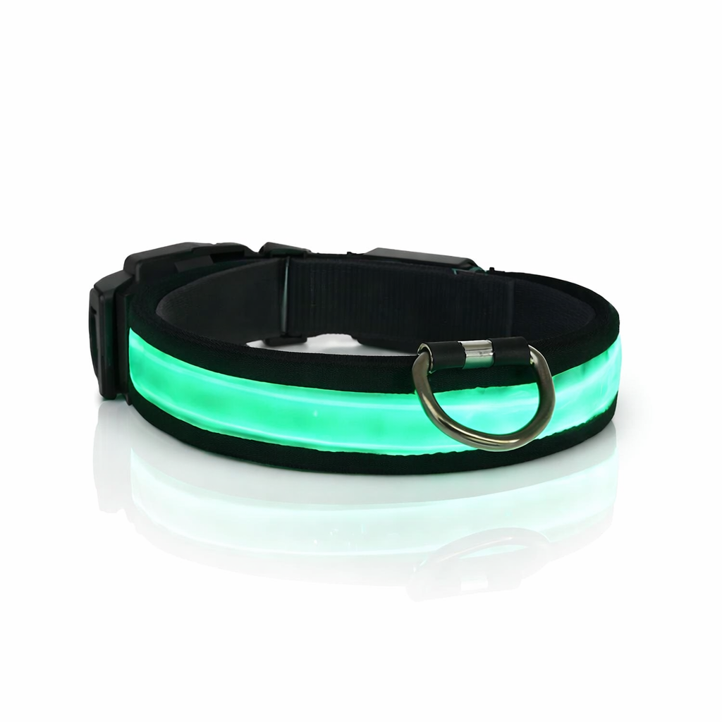 Comfyneck™ – Collier lumineux pour chien