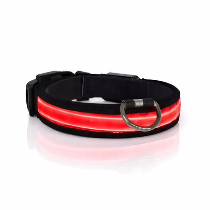 Comfyneck™ – Collier lumineux pour chien