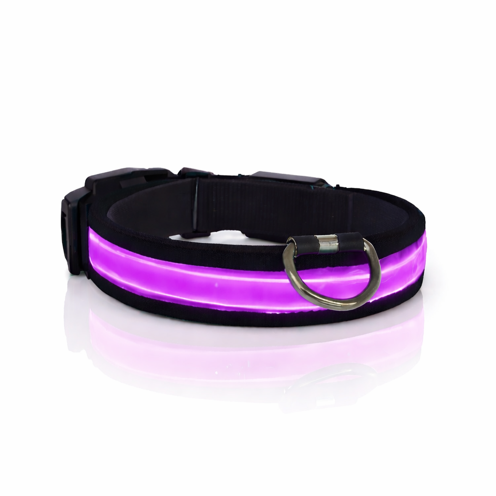Comfyneck™ – Collier lumineux pour chien