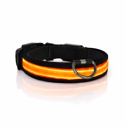 Comfyneck™ – Collier lumineux pour chien