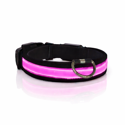 Comfyneck™ – Collier lumineux pour chien