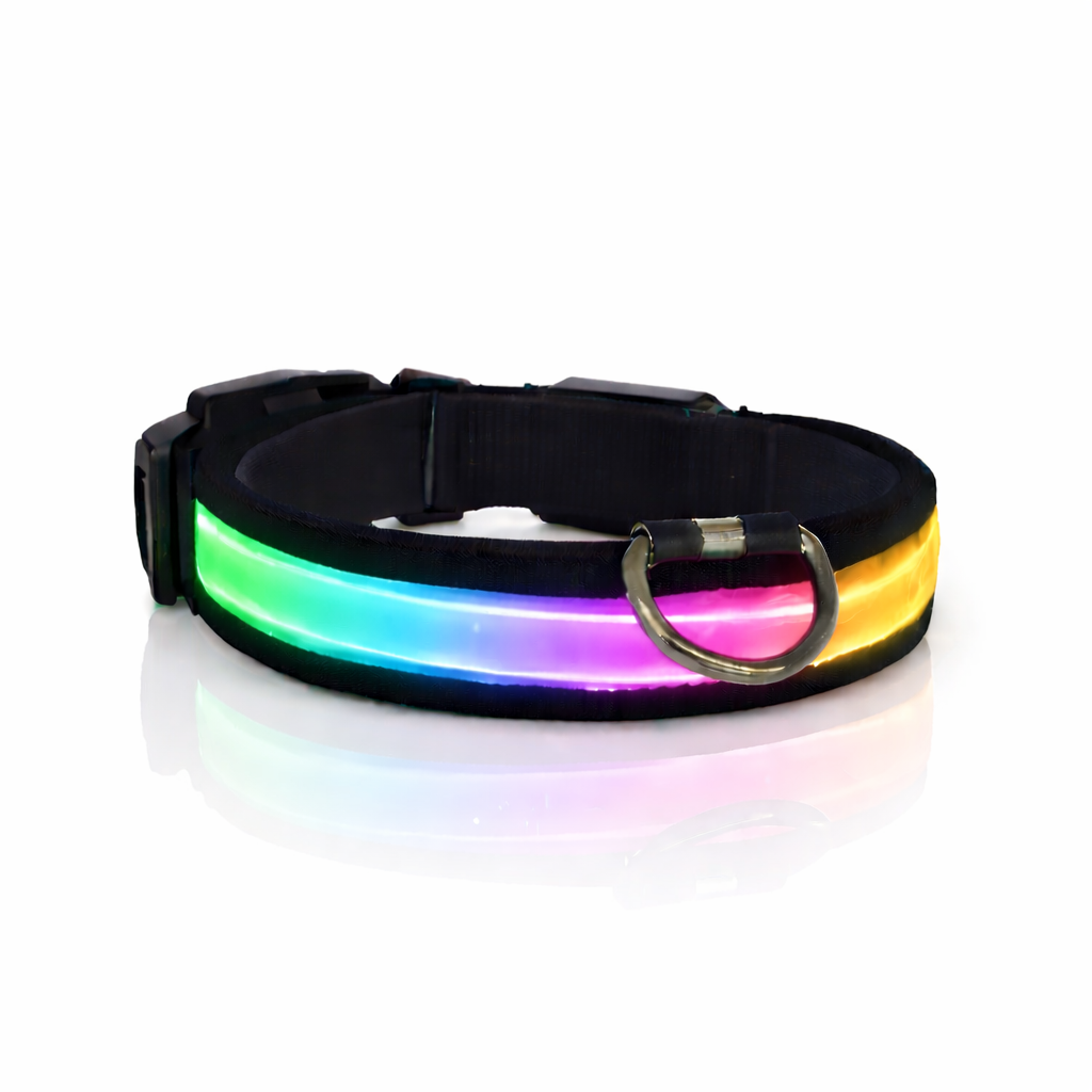 Comfyneck™ – Collier lumineux pour chien