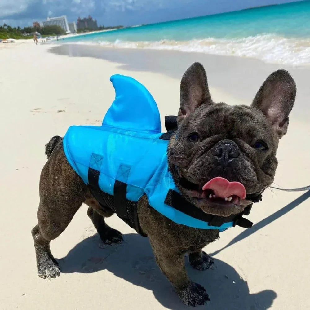 Swimmysharky™ – Gilet de sauvetage pour chien