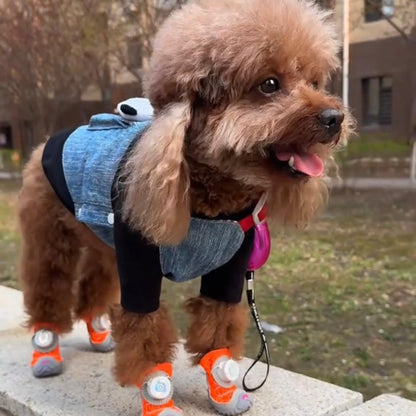 SnugPaw Shoes™ – Protection, confort et sécurité pour chaque patte