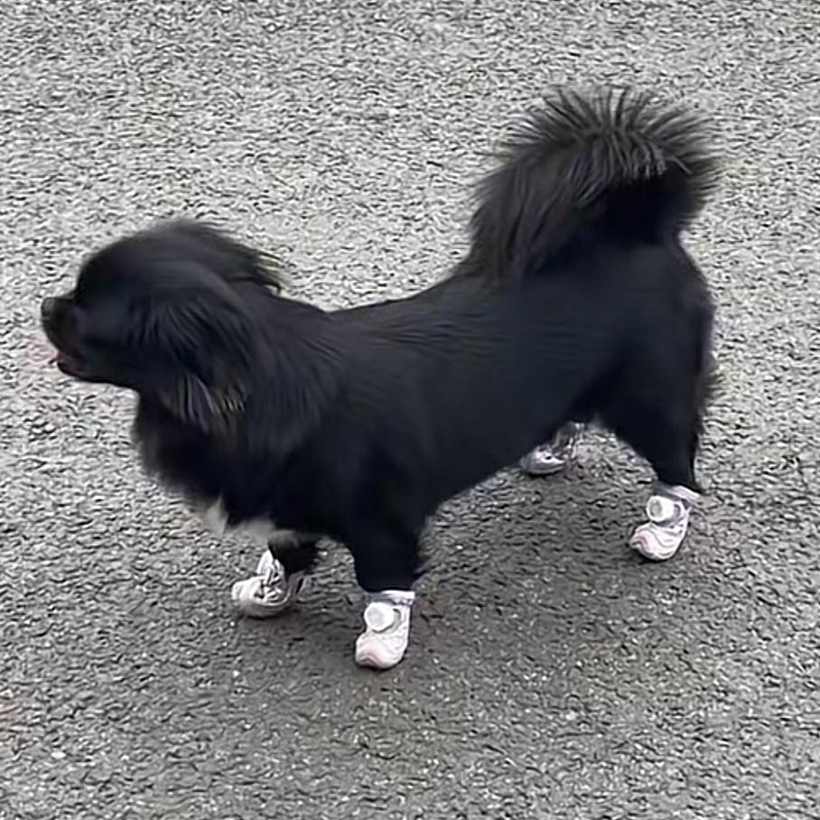 <em>Isabelle B.</em>