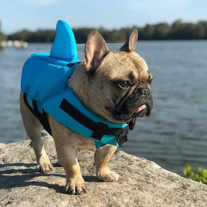Swimmysharky™ – Gilet de sauvetage pour chien