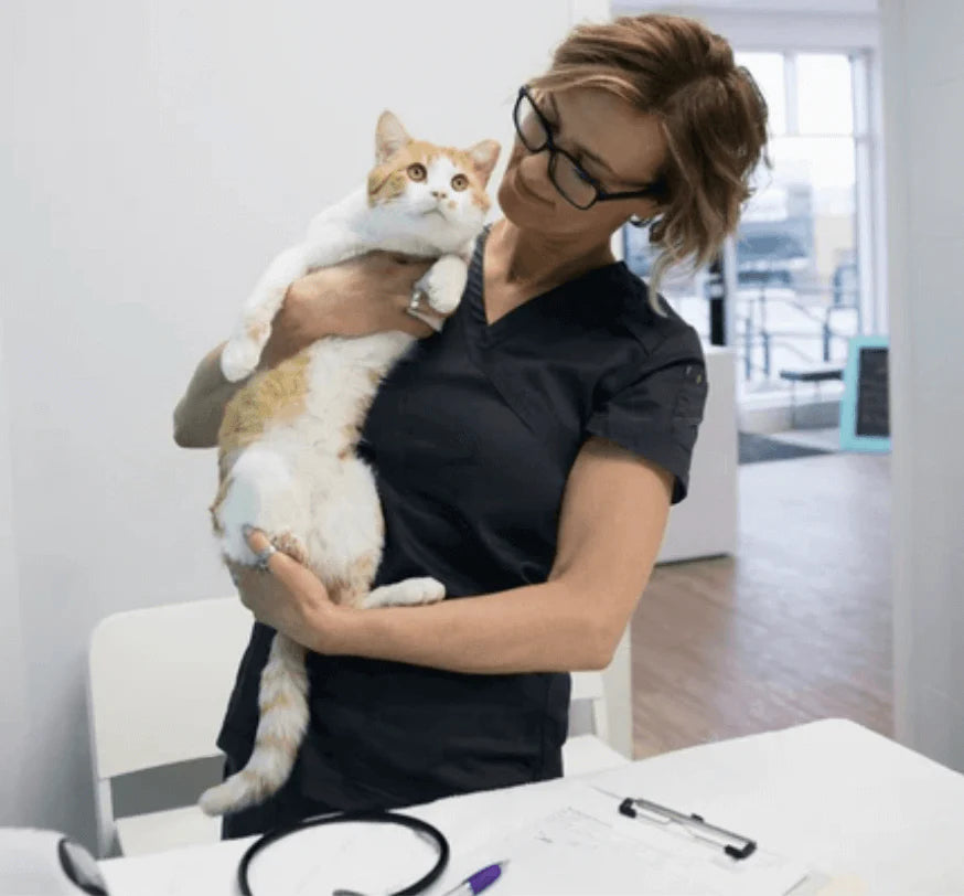 <em><strong>Dr. Lucie G.</strong></em> - Vétérinaire