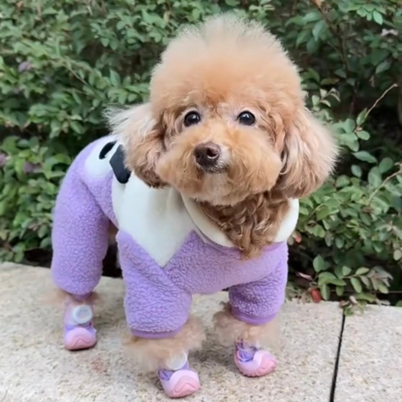 SnugPaw Shoes™ – Protection, confort et sécurité pour chaque patte