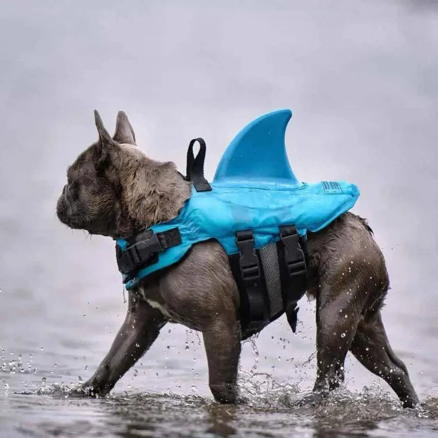 Swimmysharky™ – Gilet de sauvetage pour chien