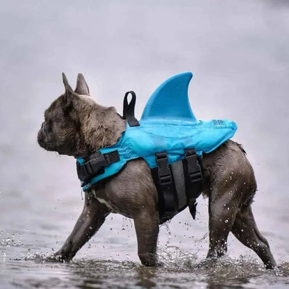 Swimmysharky™ – Gilet de sauvetage pour chien