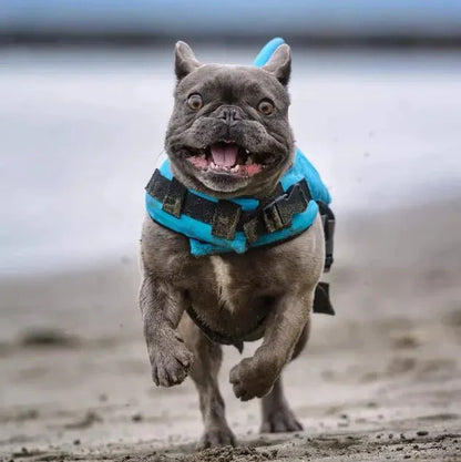 Swimmysharky™ – Gilet de sauvetage pour chien