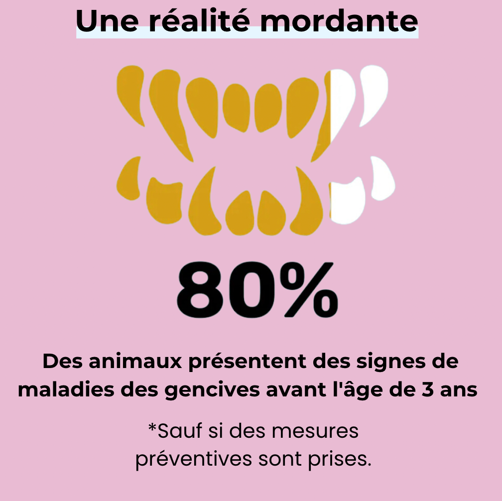 PupSmile™ - Élimine le tartre en 90 jours