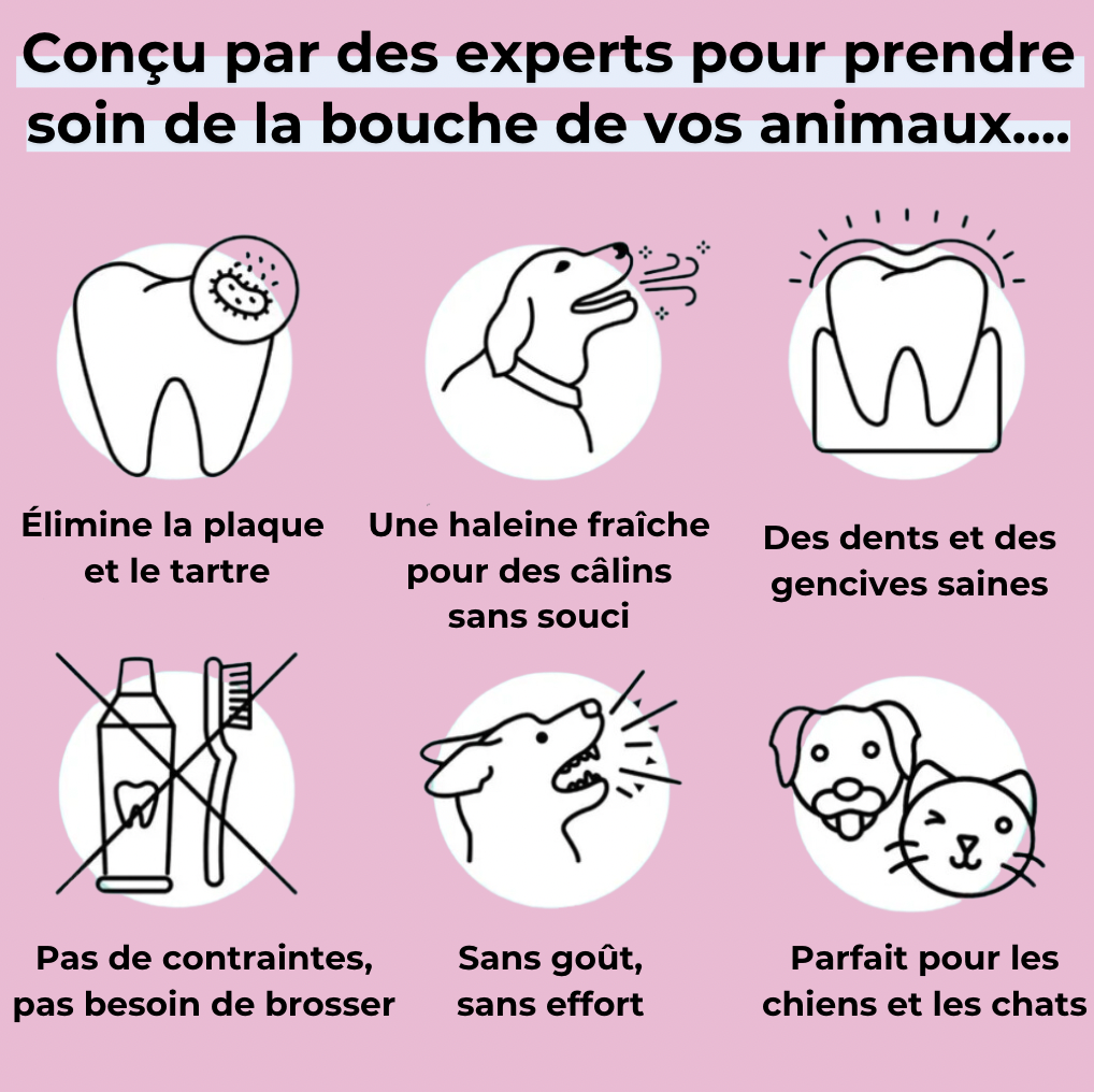 PupSmile™ - Élimine le tartre en 90 jours