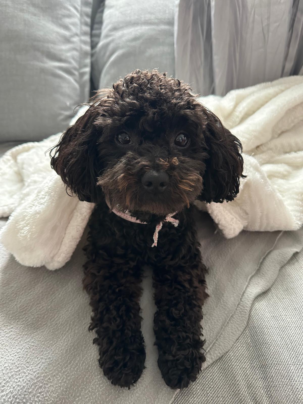 <strong>Justine B.</strong>