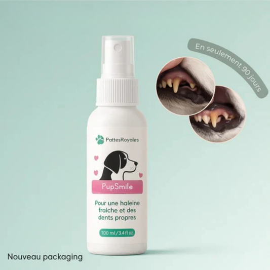PupSmile™ - Élimine le tartre en 90 jours